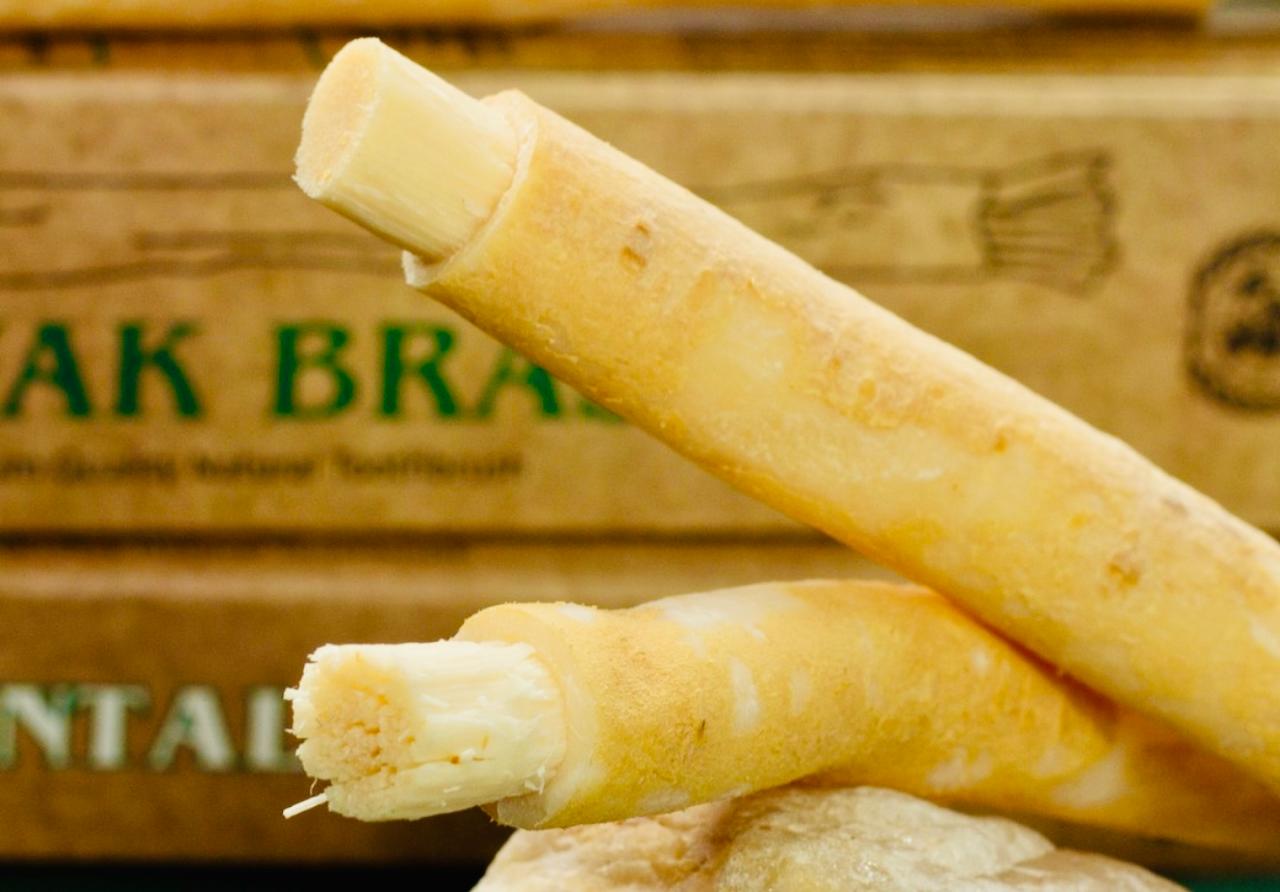 A escova de dente ecológica