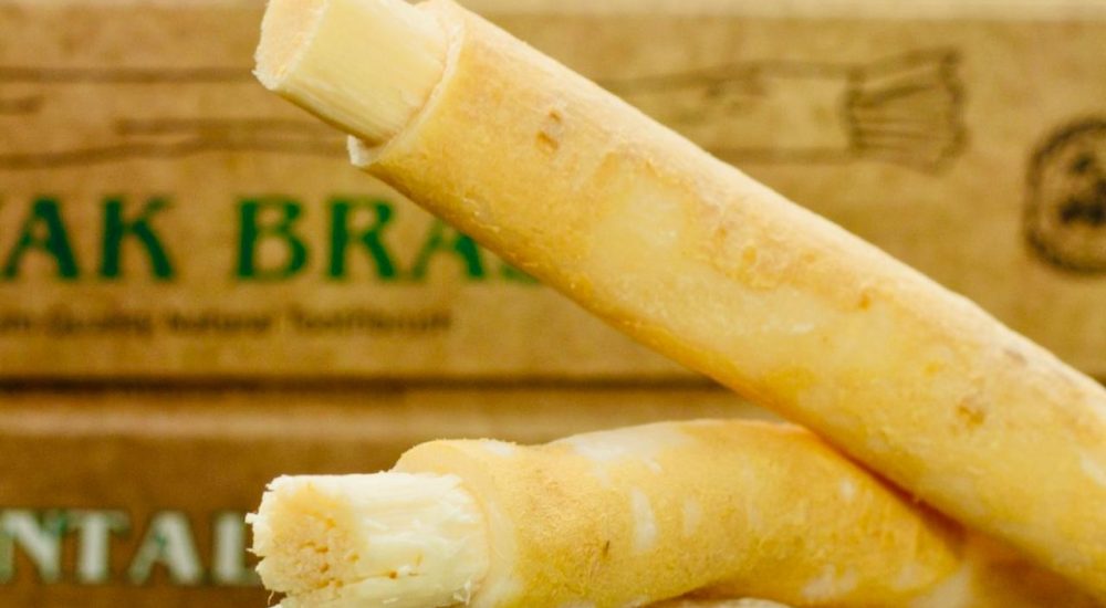 escova de dente ecológica MISWAK Brasil A escova de dente ecológica